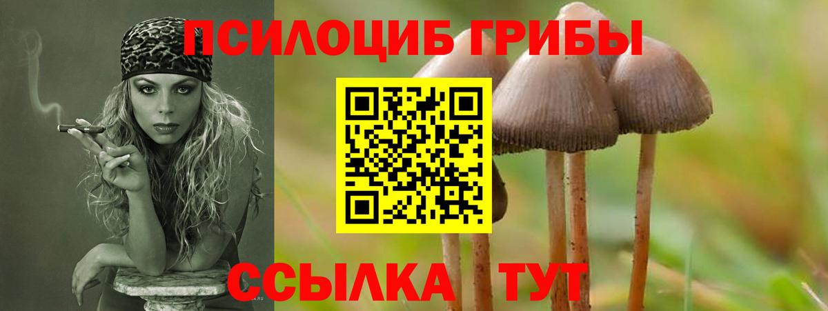 Кирово-Чепецк  Псилоцибиновые грибы Psilocybine cubensis  Вход с VPN 